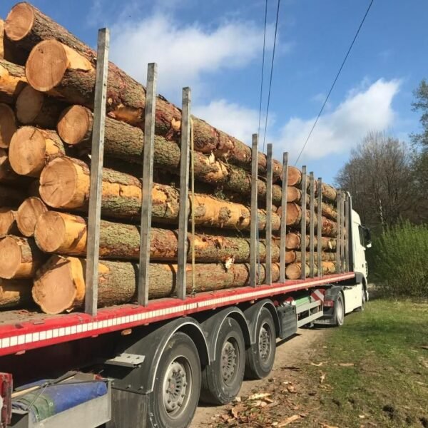Châtaignier en grume – Camion complet 50 stères