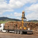 Hêtre en grume – Camion complet 50 stères